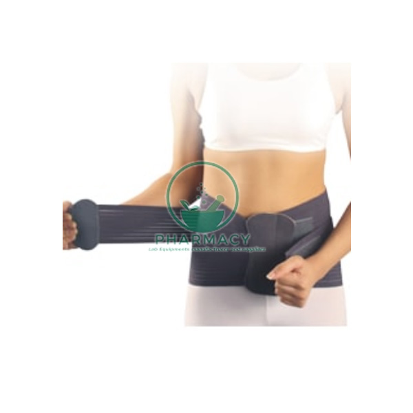 Back Support Executive