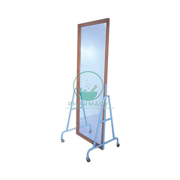 Postural Training Mirror